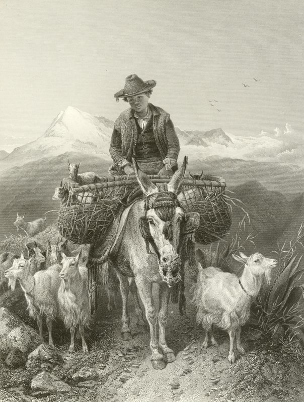 El cabrero de Granada de Richard Ansdell
