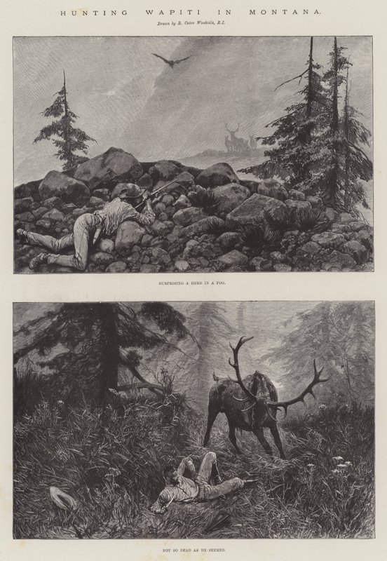 Caza de Wapiti en Montana de Richard Caton Woodville junior