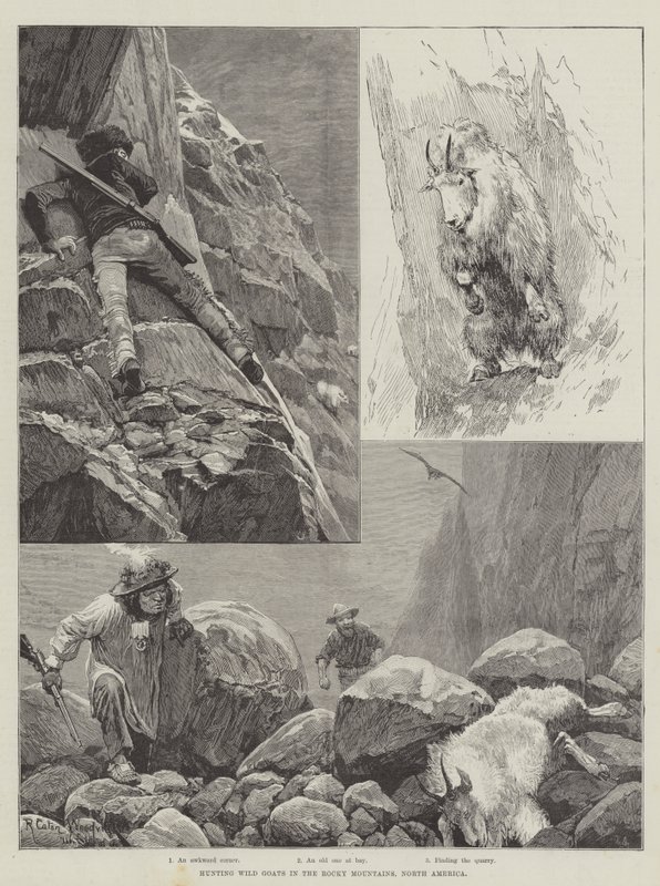 Caza de cabras salvajes en las Montañas Rocosas, América del Norte de Richard Caton Woodville junior