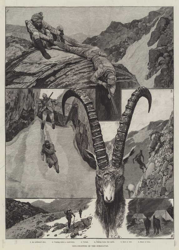 Caza de Íbex en el Himalaya de Richard Caton Woodville junior