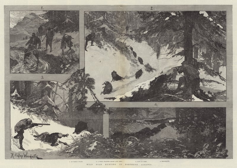 Caza de Jabalíes en el Norte de Albania de Richard Caton Woodville junior