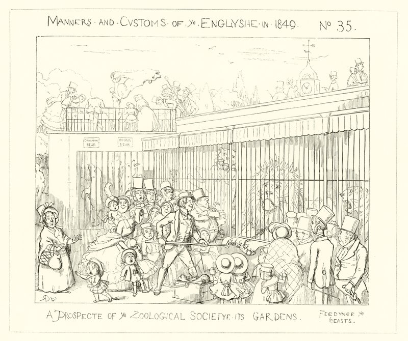 1849, Una perspectiva de los Jardines de la Sociedad Zoológica de Richard Doyle