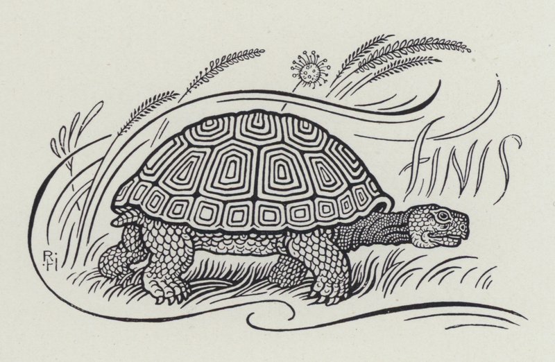 La Liebre y la Tortuga de Richard Heighway