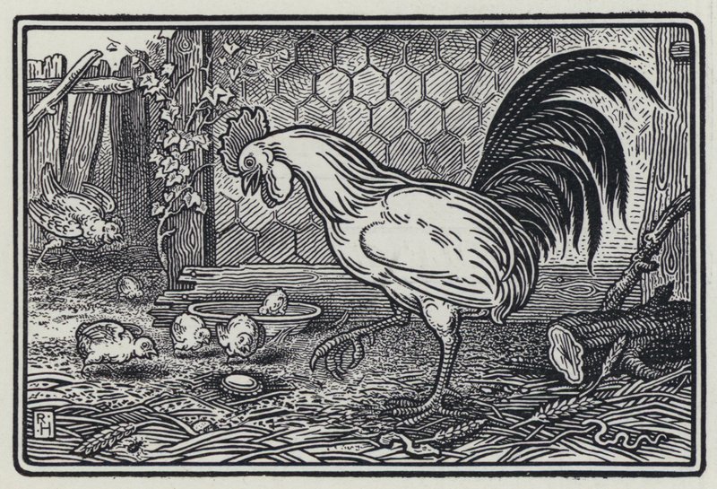 El Gallo y La Perla de Richard Heighway