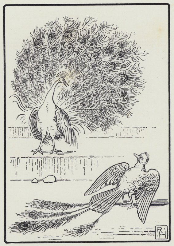 El Arrendajo y El Pavo Real de Richard Heighway
