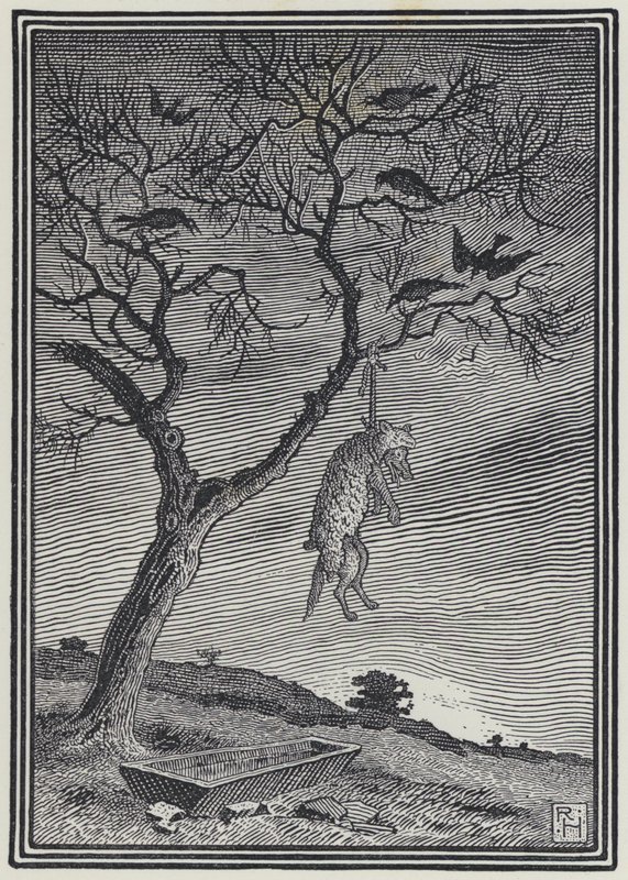 El lobo con piel de oveja de Richard Heighway