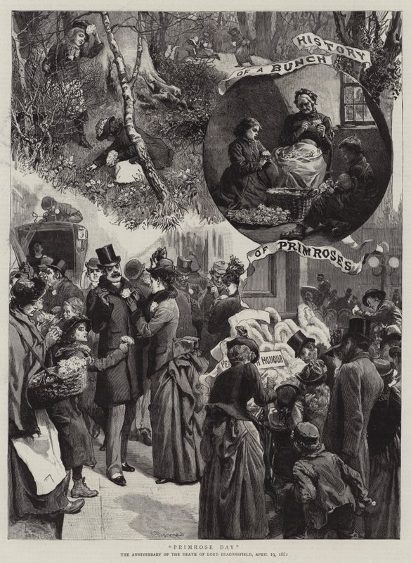 Día de la prímula de Robert Barnes