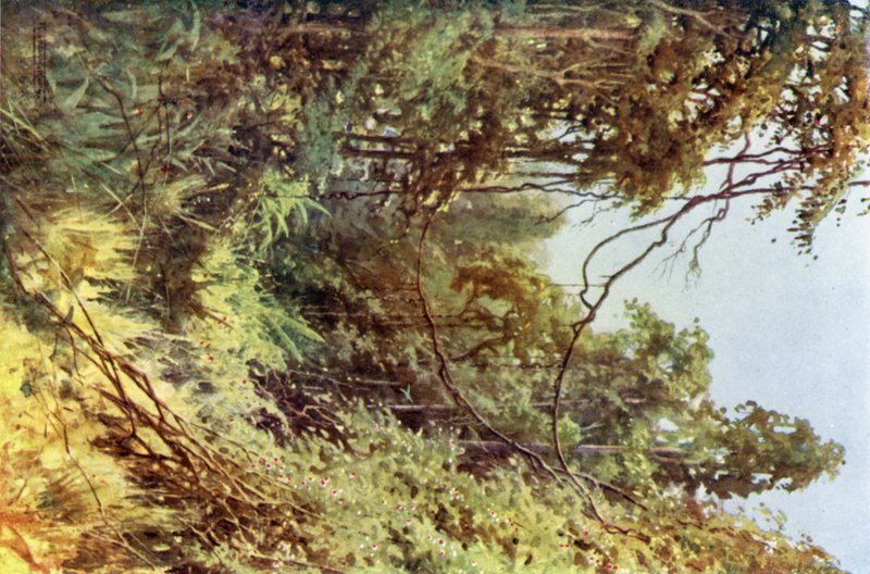 Un claro en el bosque de Robert George Talbot Kelly