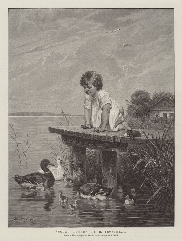 Patitos jóvenes de Robert Julius Beyschlag