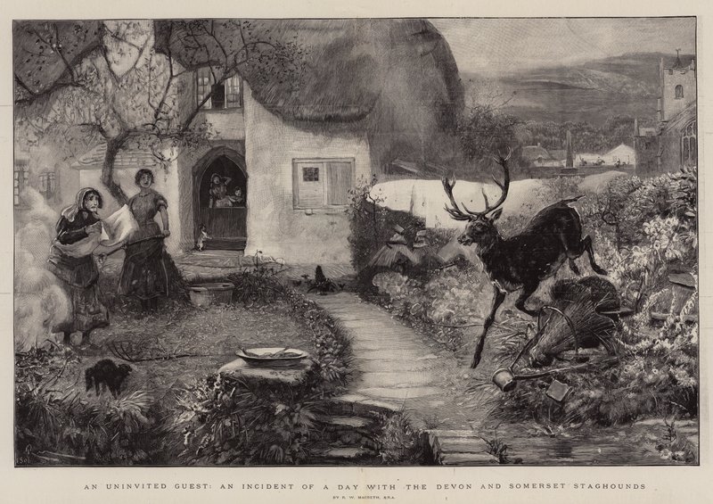Un invitado no invitado, un incidente de un día con los sabuesos de Devon y Somerset de Robert Walker Macbeth