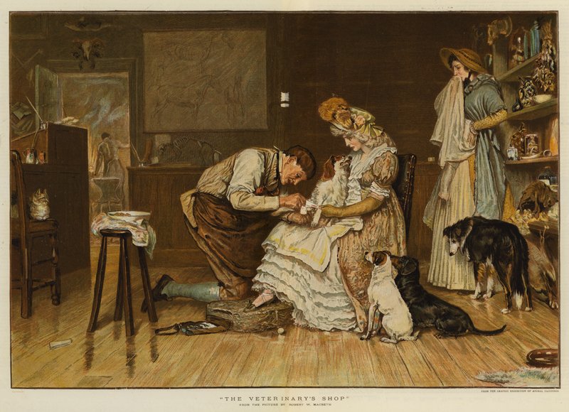 La tienda del veterinario de Robert Walker Macbeth