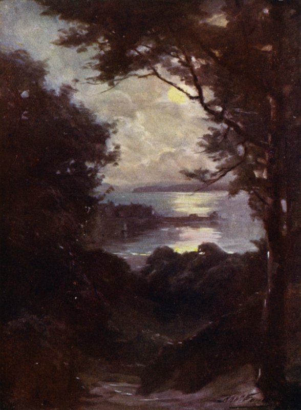 Beaumaris, Luz de luna de Robert (after) Fowler