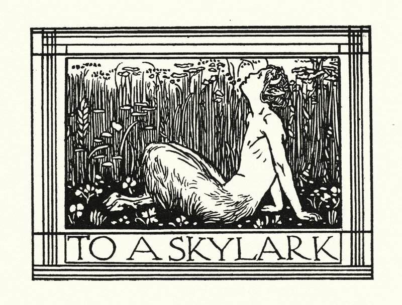 Shelley: To A Skylark (litografía) de Robert Anning Bell