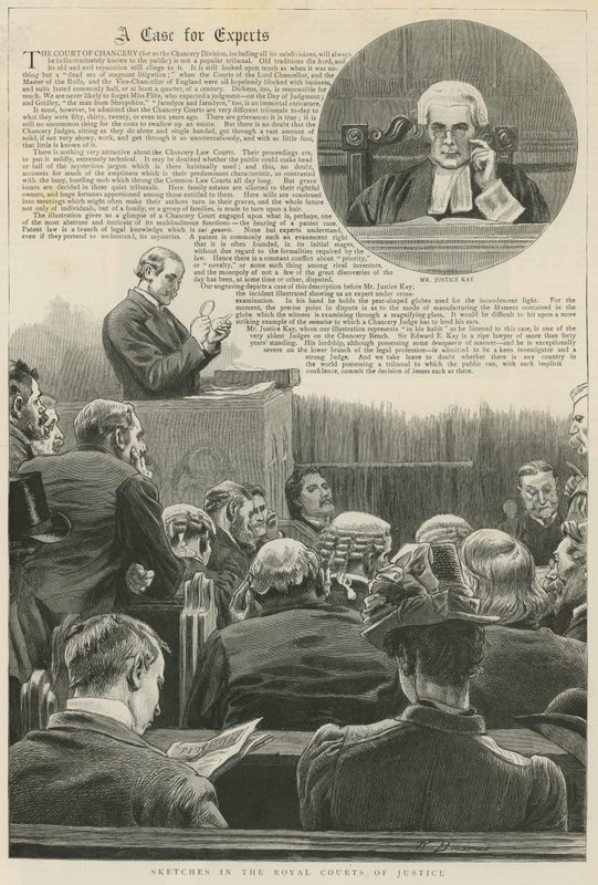 Un caso para expertos: Bocetos en los Tribunales Reales de Justicia; con una viñeta del Sr. Justice Kay de Robert Barnes