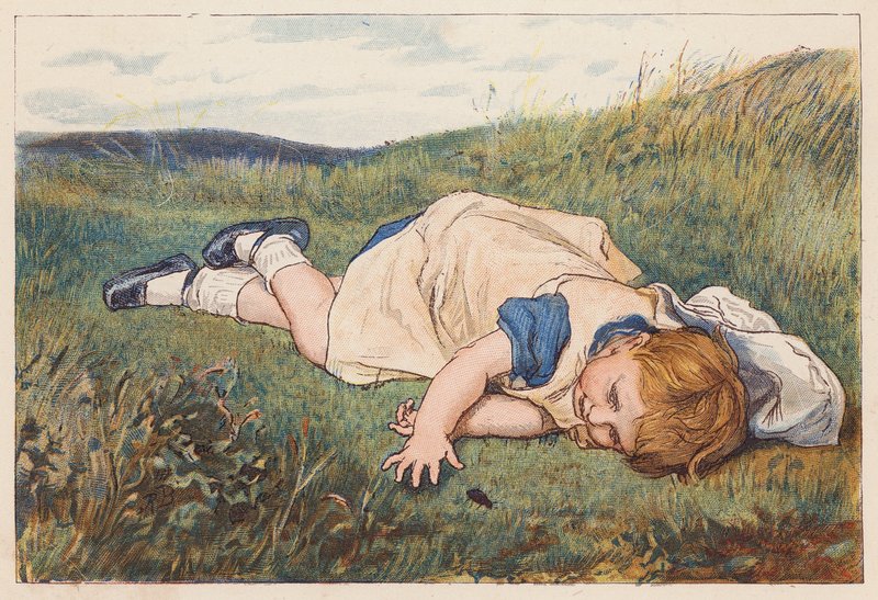 Niña fascinada por un escarabajo (litografía en color) de Robert Barnes