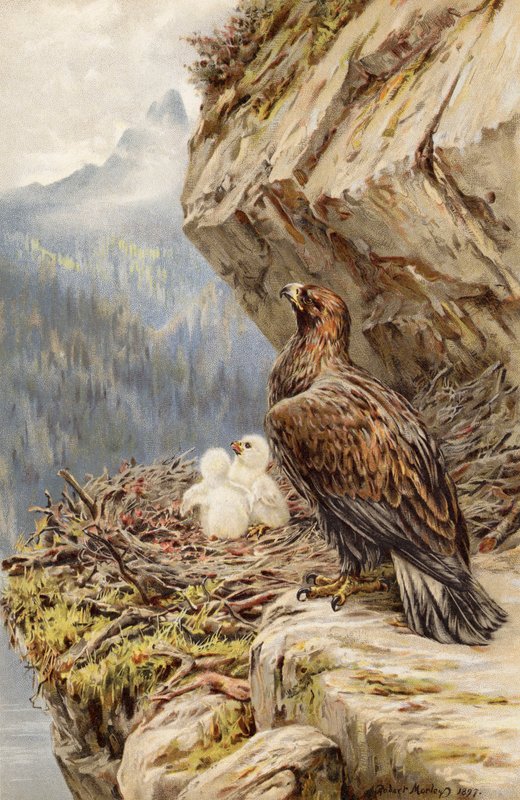 Niños de la Montaña de Robert Morley