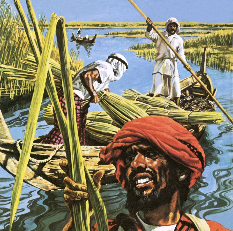 Hombres de las marismas del sur de Irak de Roger Payne
