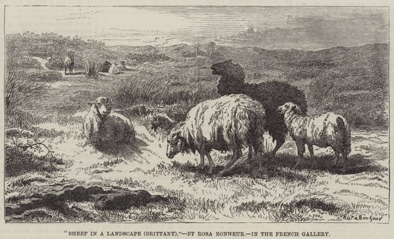 Ovejas en un paisaje, Bretaña de Rosa Bonheur