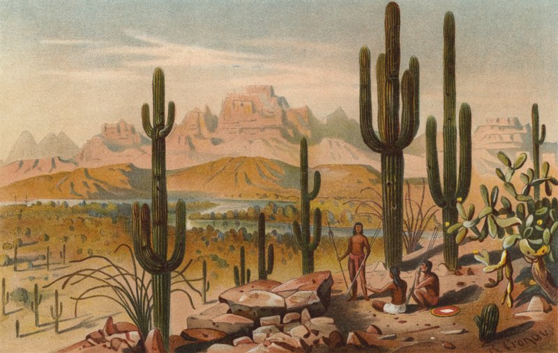 Cactus en las montañas de Utah, EE.UU. de Rudolf Cronau