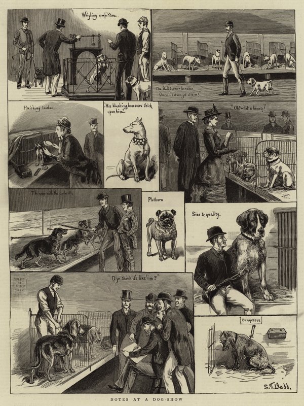 Notas en una Exposición Canina de S.T. Dadd
