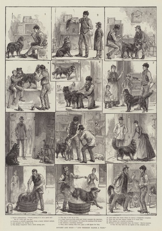 ¡Comprado y vendido! Y de ahí cuelga una historia de S.T. Dadd