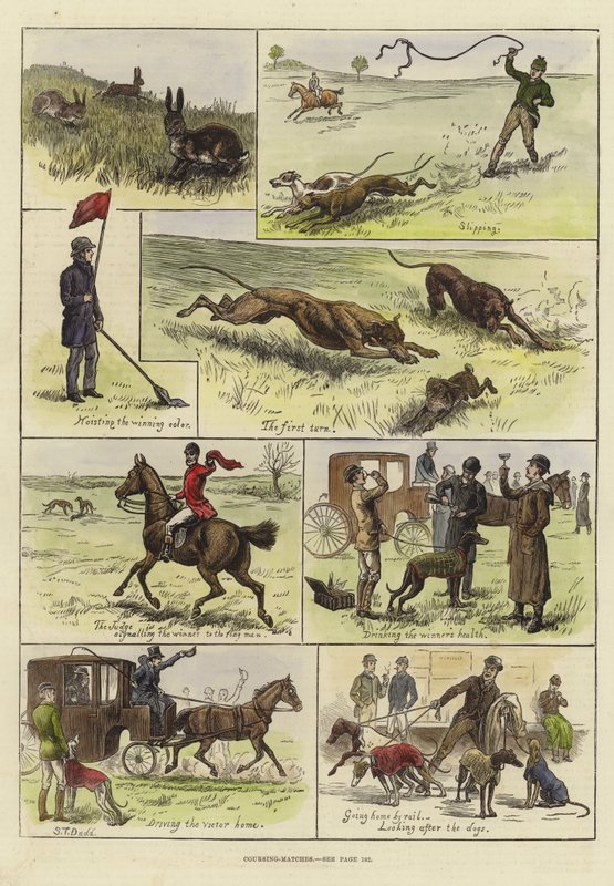 Partidos de caza de S.T. Dadd