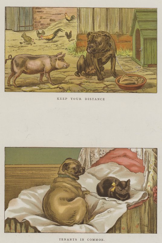 Perros humorísticos de S.T. Dadd
