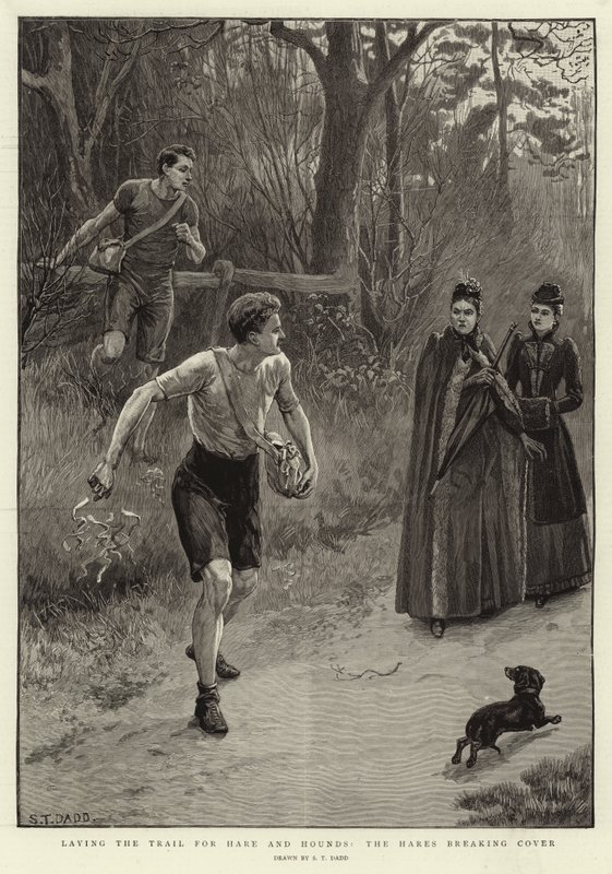 Trazando el rastro para la caza del conejo, los conejos saliendo de la cobertura de S.T. Dadd