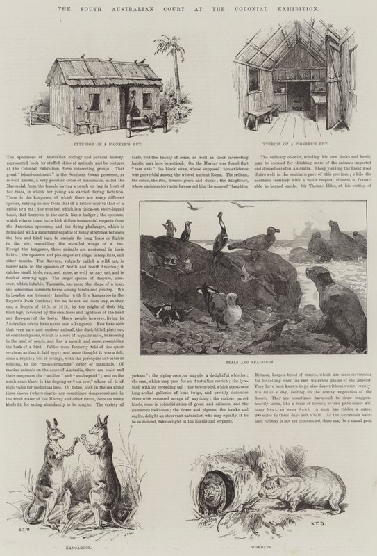 El Tribunal de Australia del Sur en la Exposición Colonial de S.T. Dadd