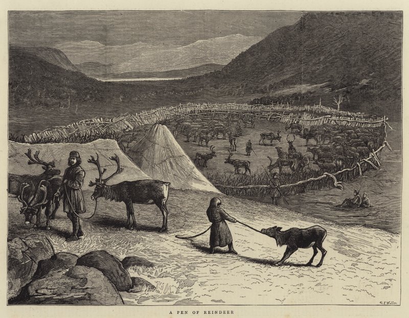 Un corral de renos de Samuel Edmund Waller