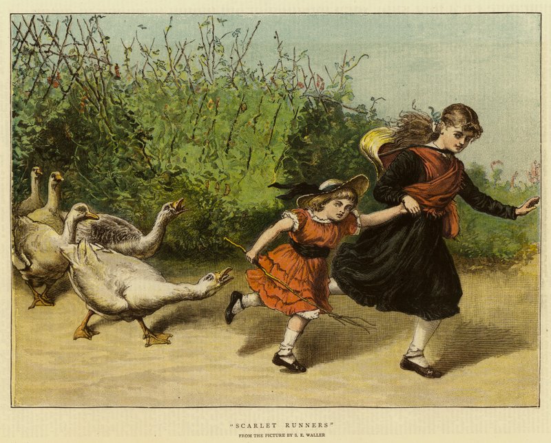 Corredores escarlata de Samuel Edmund Waller