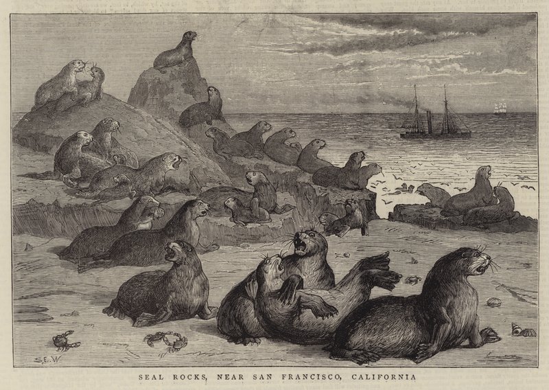 Rocas del Sello, cerca de San Francisco, California de Samuel Edmund Waller