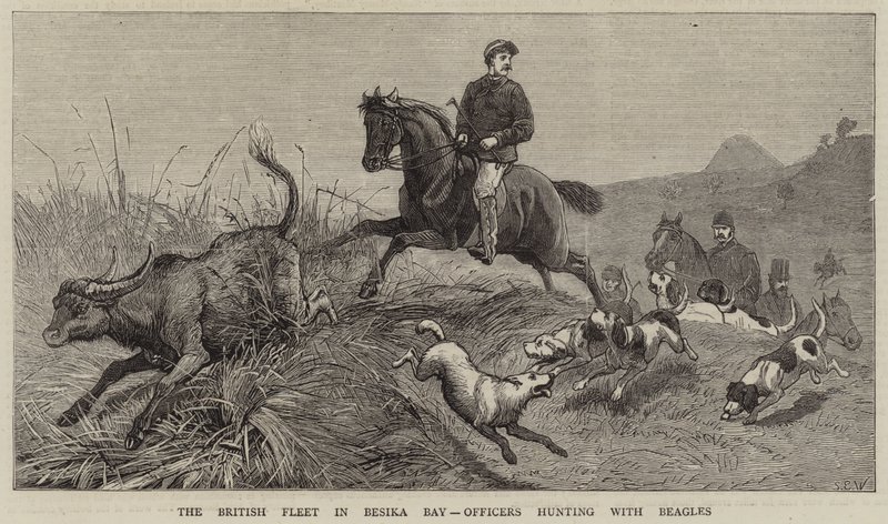 La Flota Británica en la Bahía de Besika, Oficiales cazando con Beagles de Samuel Edmund Waller