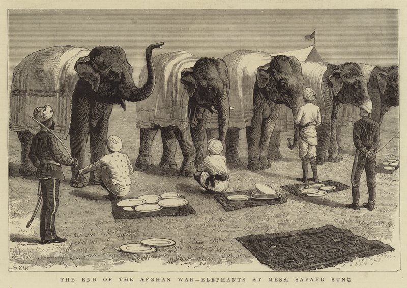 El fin de la guerra afgana, elefantes en el mess, Safaed Sung de Samuel Edmund Waller