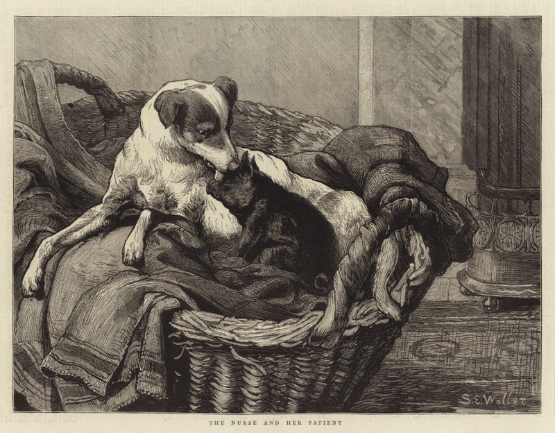 La enfermera y su paciente de Samuel Edmund Waller
