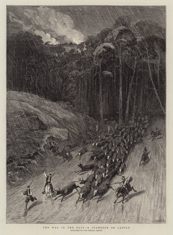 La guerra en el este, una estampida de ganado de Samuel Edmund Waller