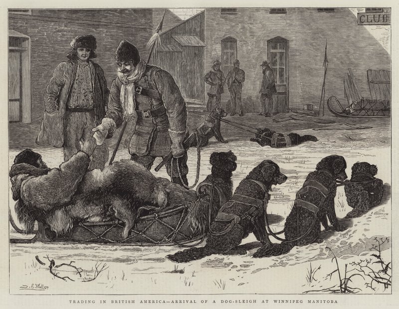 Comercio en la América británica, llegada de un trineo de perros a Winnipeg Manitoba de Samuel Edmund Waller