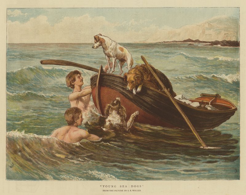 Jóvenes perros marinos de Samuel Edmund Waller
