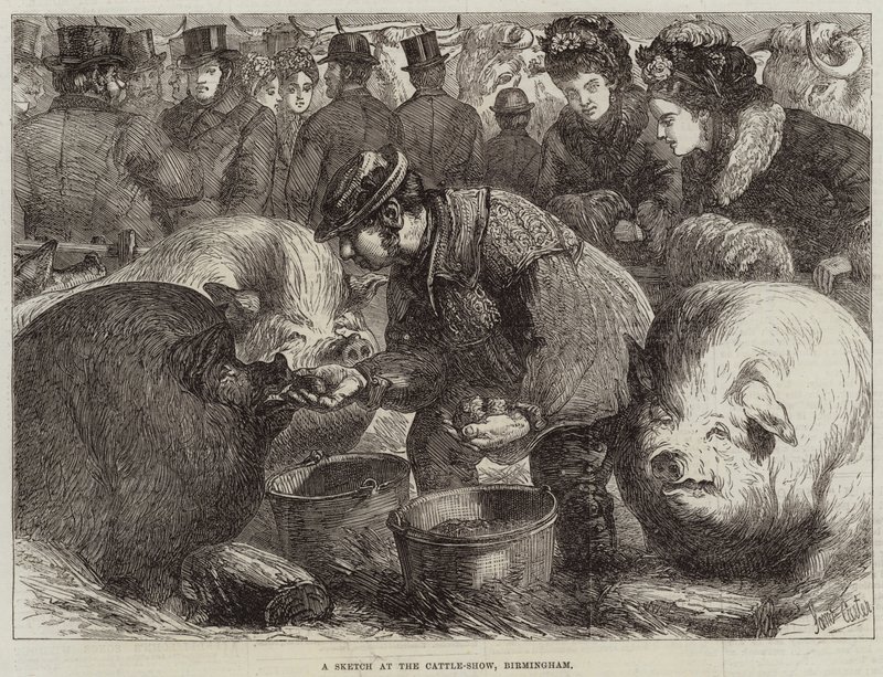 Un boceto en la exposición de ganado, Birmingham de Samuel John Carter