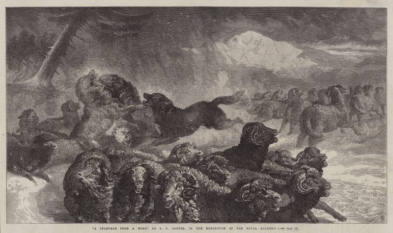 Una estampida de un lobo de Samuel John Carter