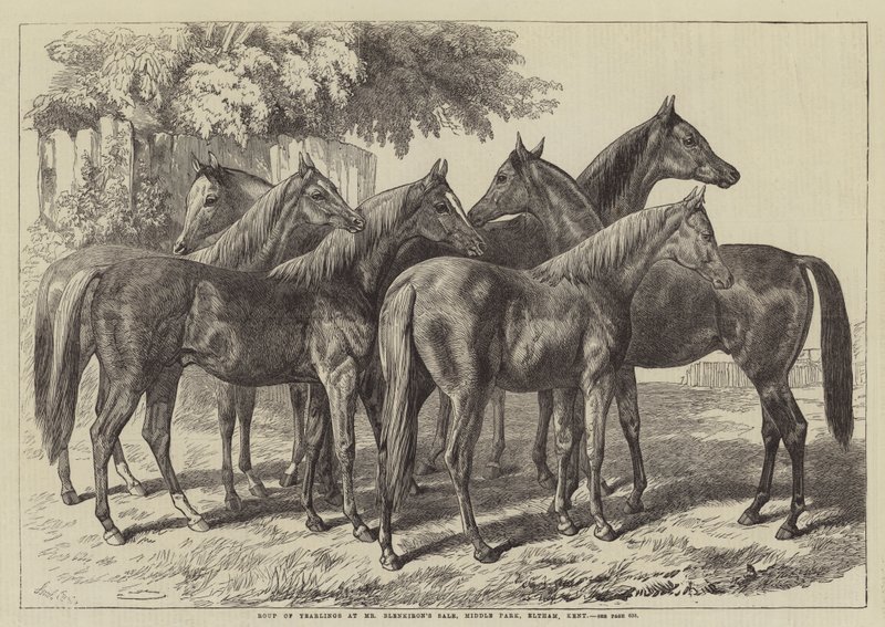Grupo de Potros en la Venta de Mr. Blenkiron, Middle Park, Eltham, Kent de Samuel John Carter