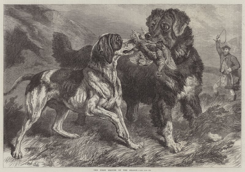 El Primer Urogallo de la Temporada de Samuel John Carter