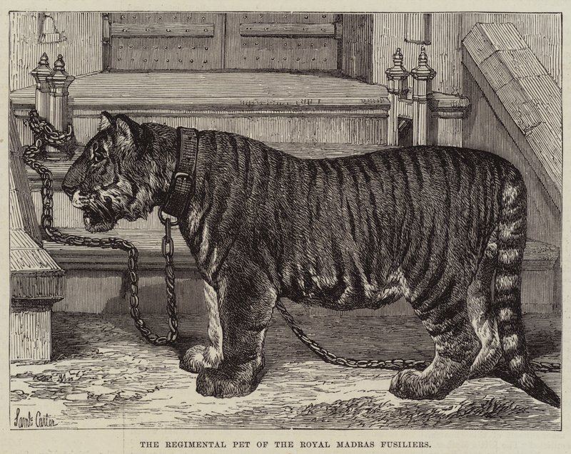 La mascota del regimiento de los Fusileros Reales de Madrás de Samuel John Carter