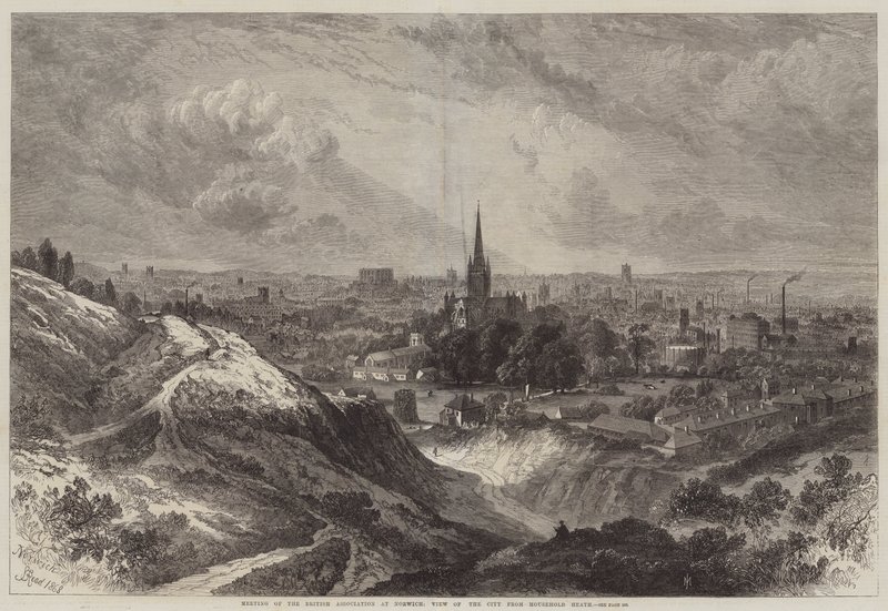 Reunión de la Asociación Británica en Norwich, vista de la ciudad desde Mousehold Heath de Samuel Read
