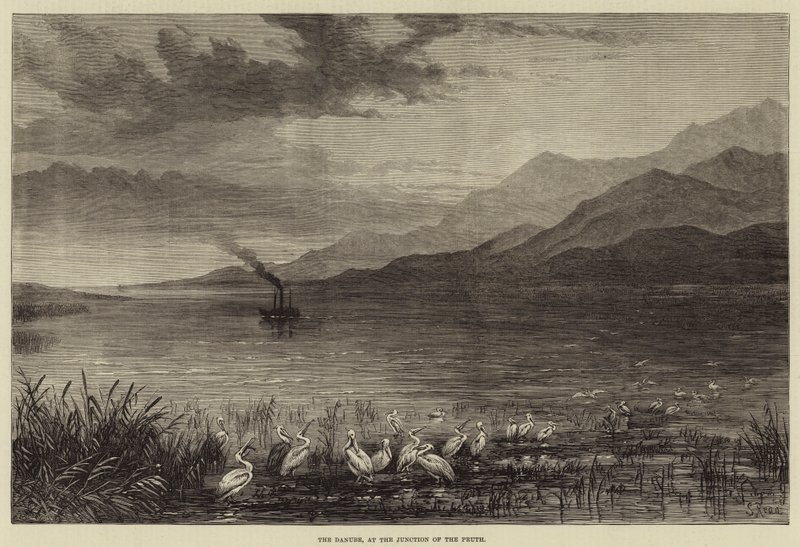 El Danubio, en la Confluencia del Prut de Samuel Read