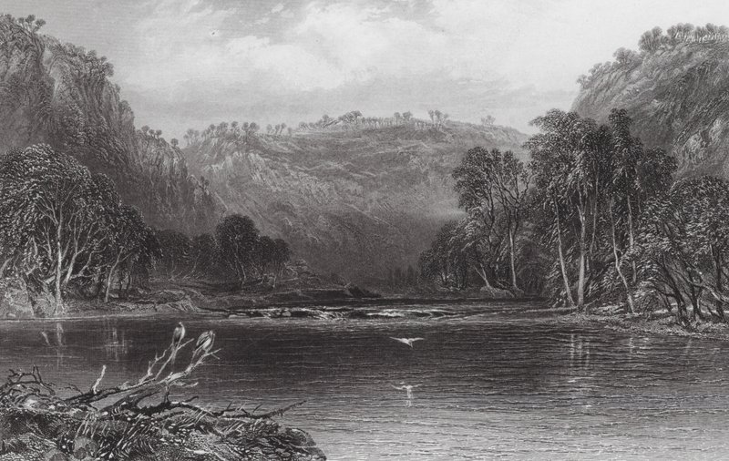 Australia: En el río Cow Pasture (grabado) de Samuel (after) Prout