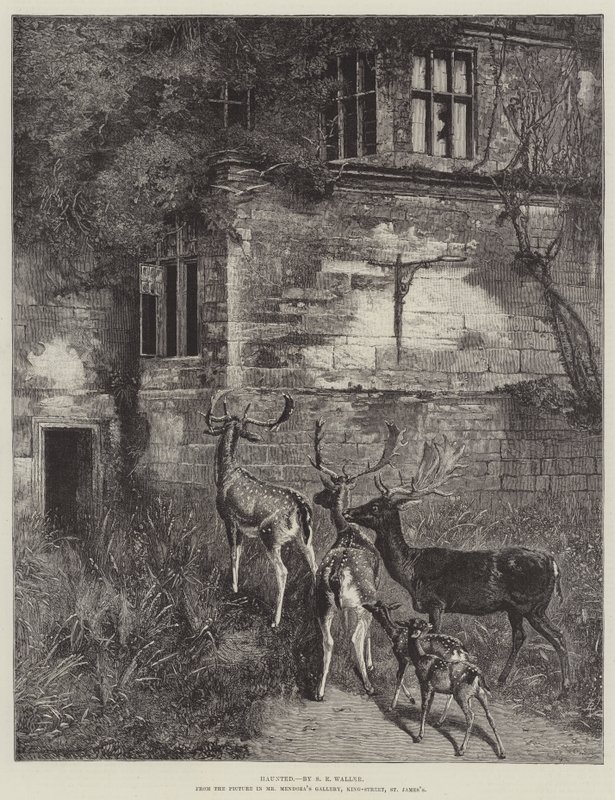Embrujado de Samuel Edmund Waller