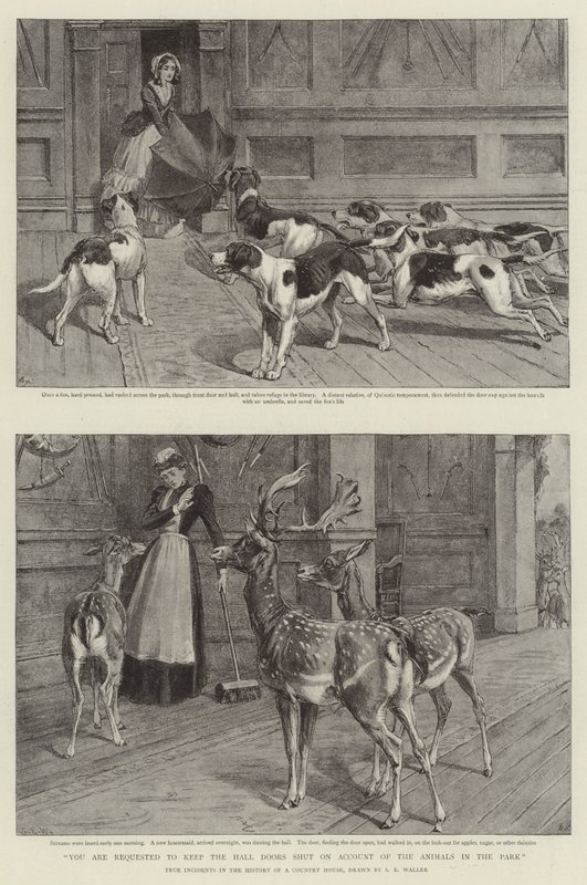 Se le solicita mantener las puertas del vestíbulo cerradas debido a los animales en el parque de Samuel Edmund Waller