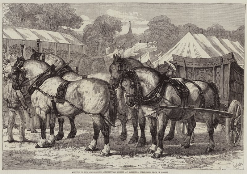 Reunión de la Sociedad Agrícola de Lincolnshire en Sleaford, equipo de caballos ganador del primer premio de Samuel John Carter