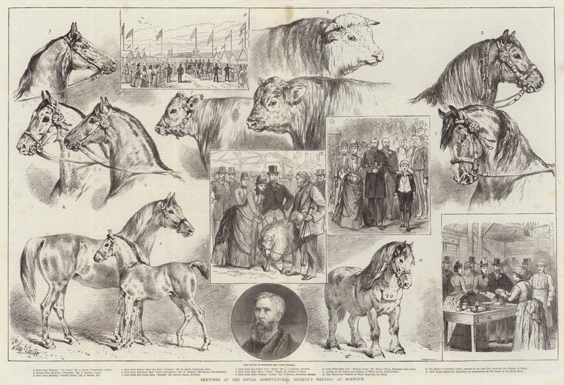 Bocetos en la reunión de la Sociedad Agrícola Real en Norwich de Samuel John Carter